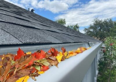 gutter clogged with leaves