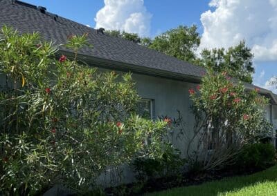 side of the house with new gutters