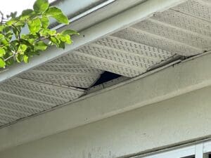 soffit damage