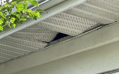 Soffit and Fascia Services in Tampa Bay